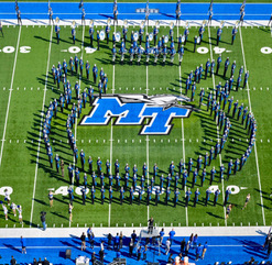 Horseshoe picture