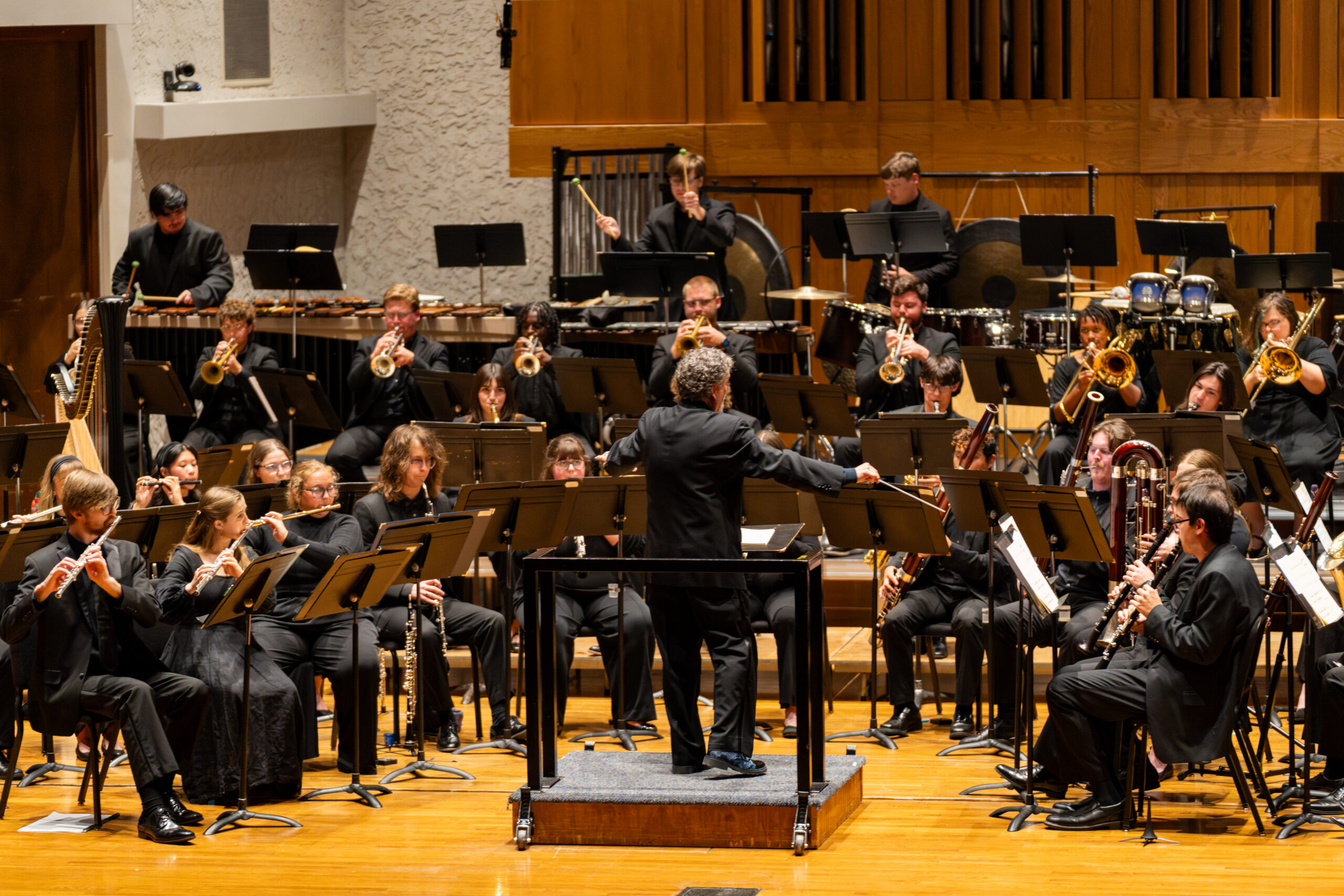 Wind Ensemble picture